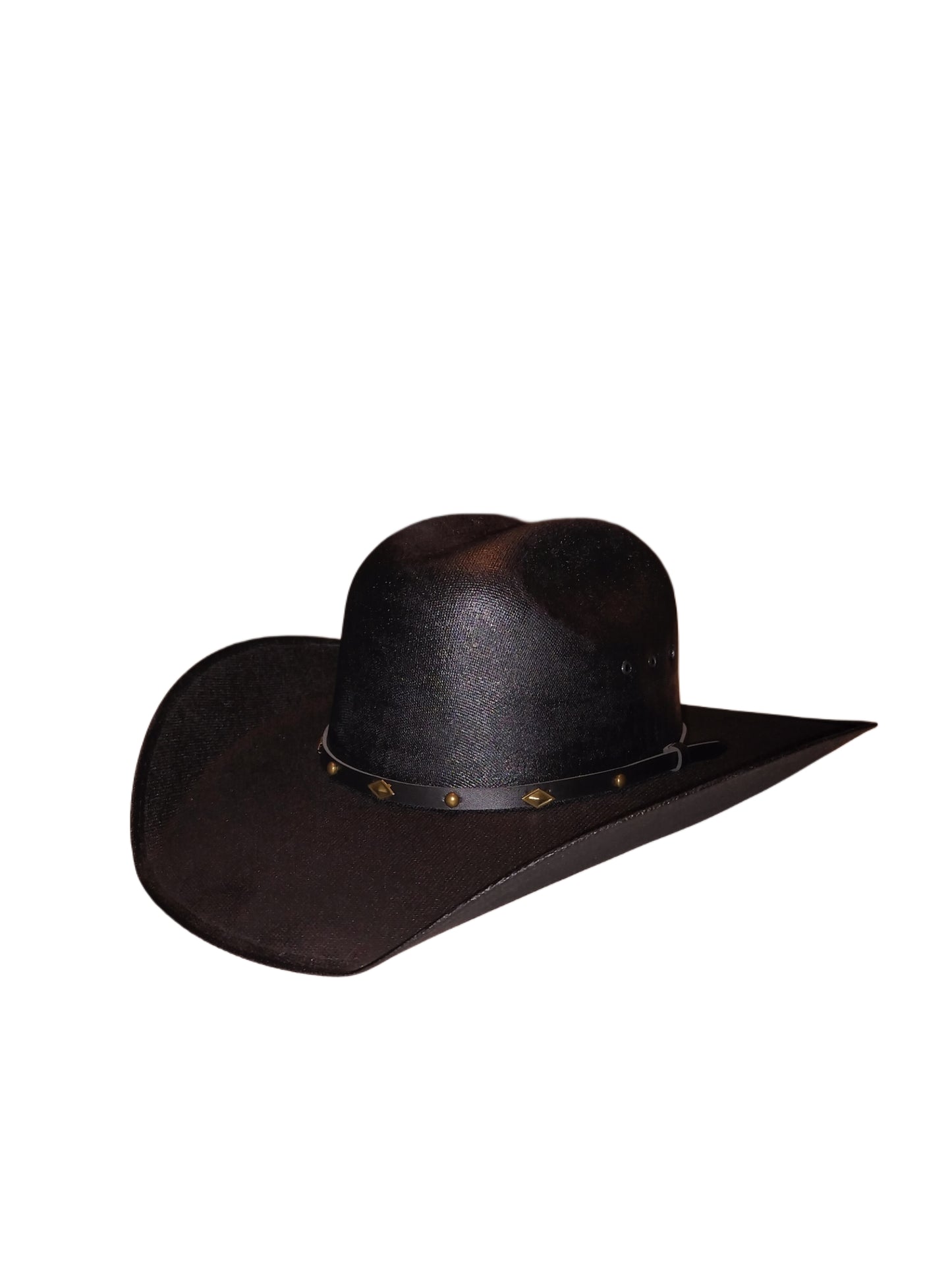 BLACK CANVAS TEJANA HAT